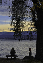 HBM ... on the shore of Lake Zurich (© Buelipix)