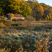 Barn, Pleasant Hill Preserve