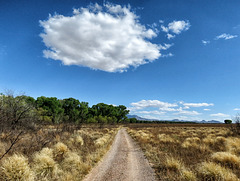 San Pedro Riparian National Conservation Area