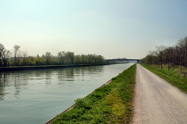 Weg am Datteln-Hamm-Kanal (Bergkamen-Heil) / 9.04.2017