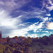 Old Edinburgh Skyline from The New Club, Princes Street.