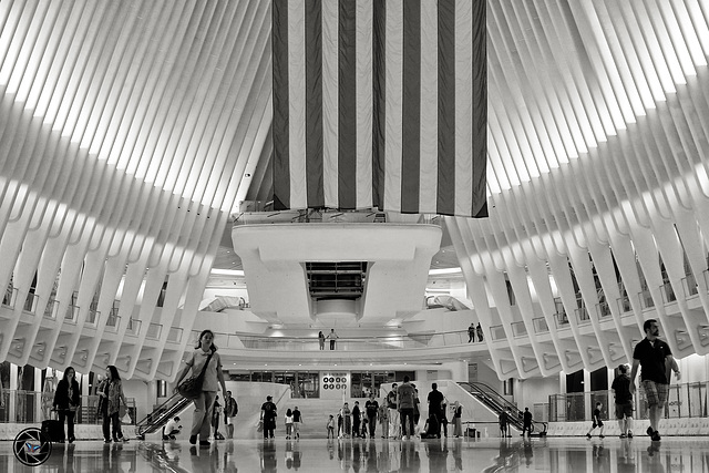 World Trade Center Transportation Hub