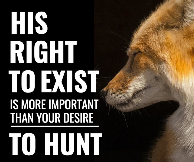 O&S (meme) - LACS campaign