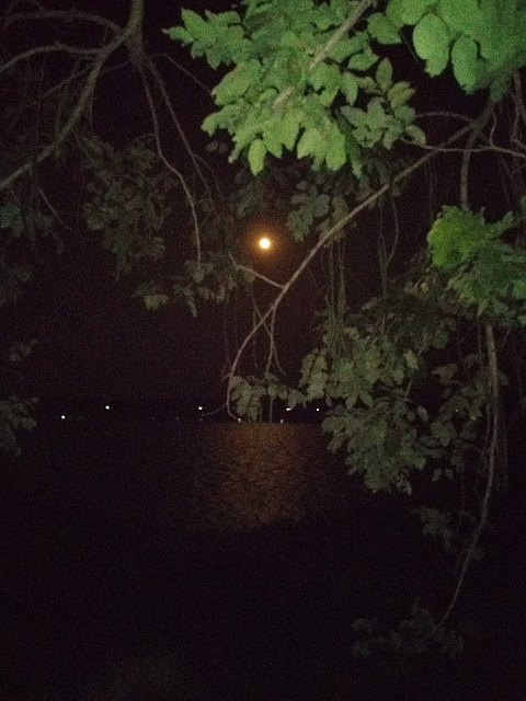 Moon above Mekong / Lune discrète au-dessus du Mekong