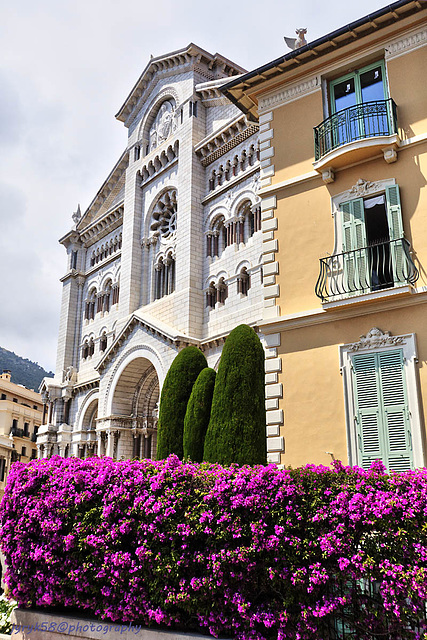 Monaco (50)