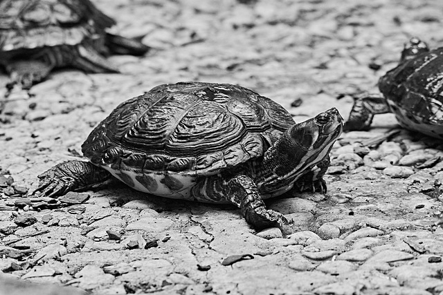 Tierpark Straubing