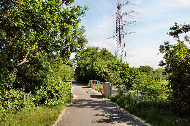 Radweg auf der ehem. Erzbahn (Wanne-Eickel) / 21.05.2018