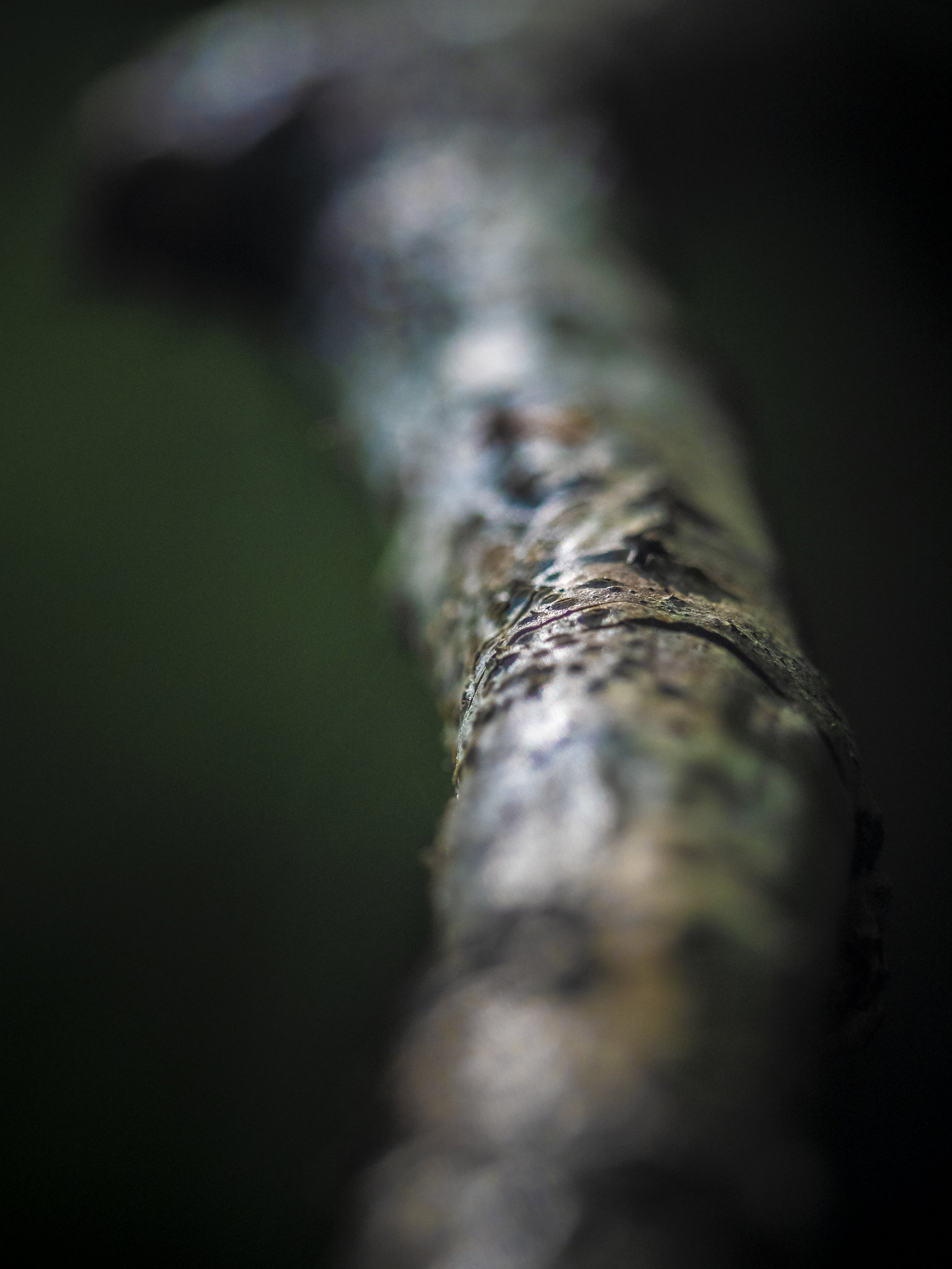 DOF PDC USW