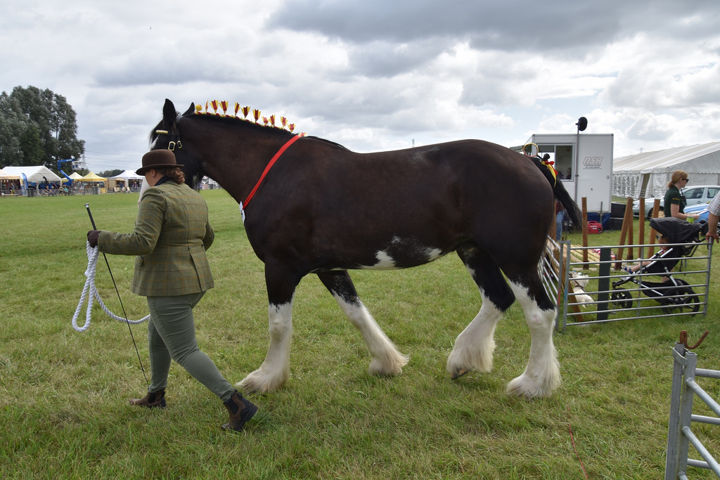 179thcasaug122023 (1146)