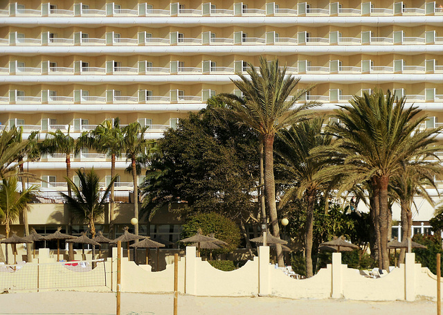 Fuerteventura: Palmen und Hotel