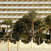Fuerteventura: Palmen und Hotel