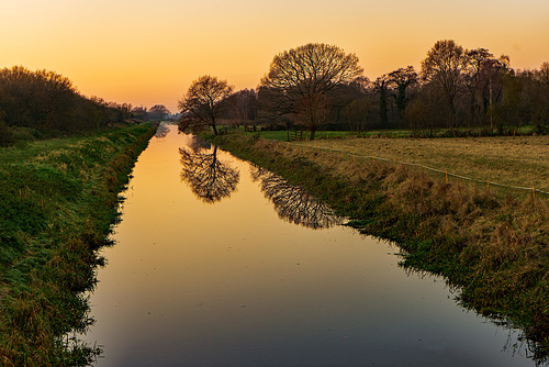 #32 - Ecobird - Sunset River - 4̊ 5points