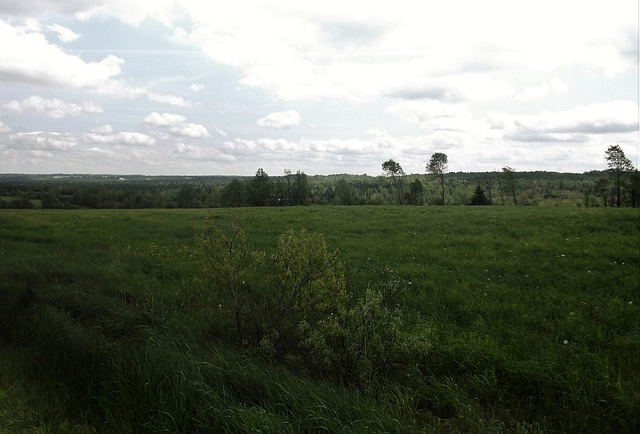 Une marche dans la nature de l'Estrie