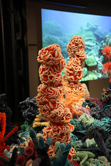 Crochet Coral Reef