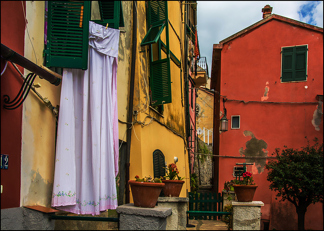 Five Fences And A Tablecloth - HFF