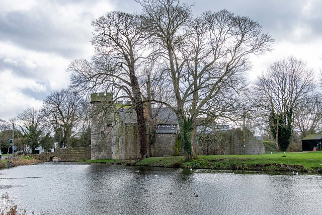 Wittington castle