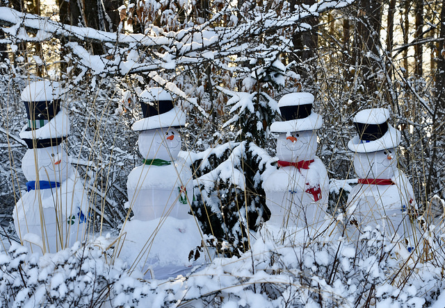 Suzanne Guy, Bonhomme de neige