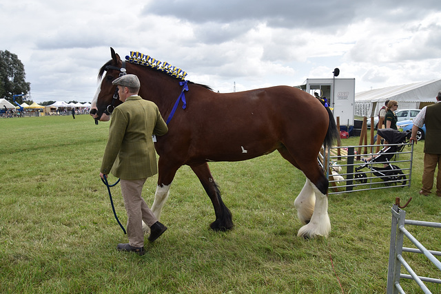 179thcasaug122023 (1147)