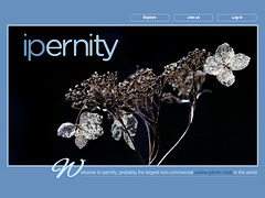 ipernity homepage with #1657