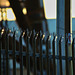 Fence 2
