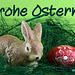 Frohe Ostern! - Happy Easter!-Yoyeuses  Paques! - jFelices Pascuas!