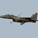 4th Fighter Wing McDonnell Douglas F-15E Strike Eagle 87-0179