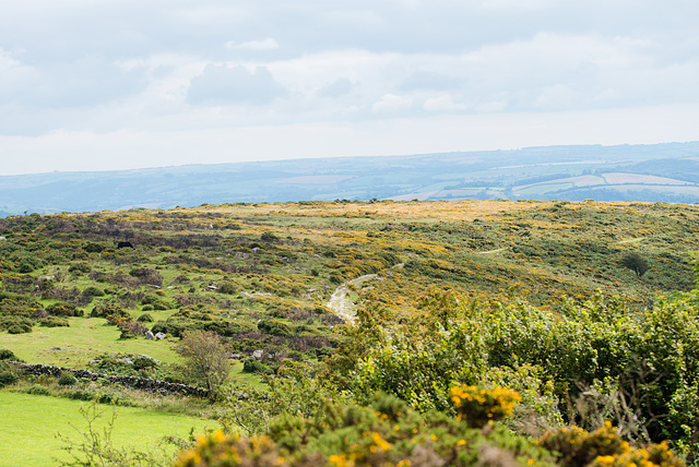 Dartmoor - 20150831