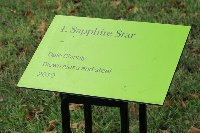 IMG 6318-001-Saphire Star