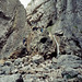 Gordale Scar (Scan from 1989)