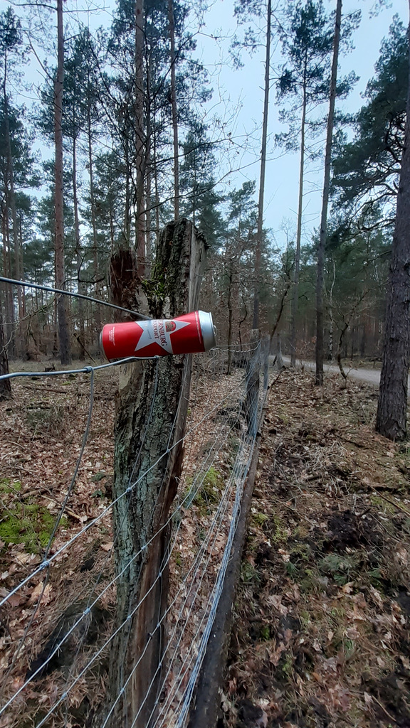 Happy Fence Friday to All of You