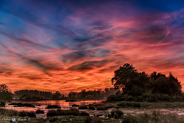 Rojo atardecer....