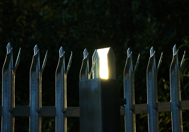 Fence 1 Fence 1