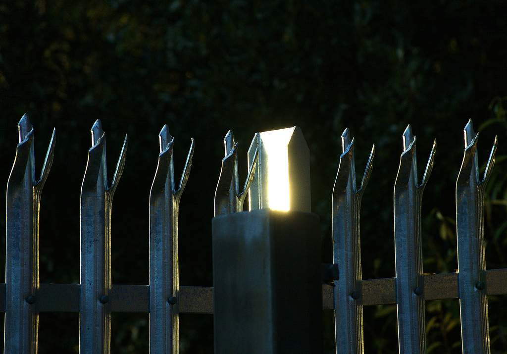 Fence 1