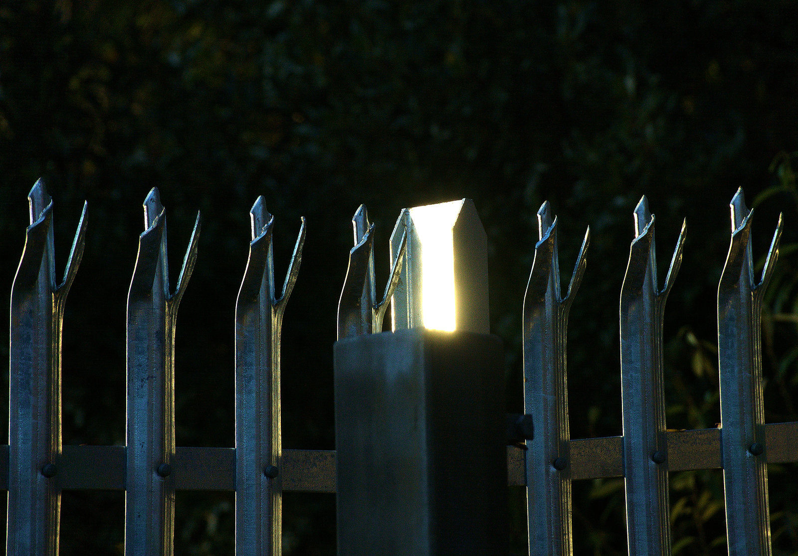 Fence 1