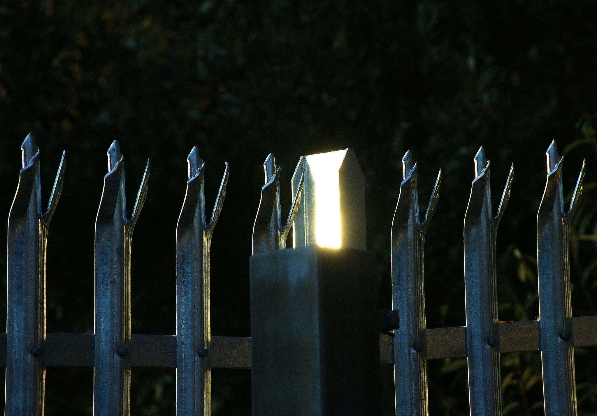 Fence 1