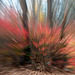 Spin 1