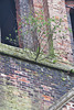 holy trinity church, dalston, london