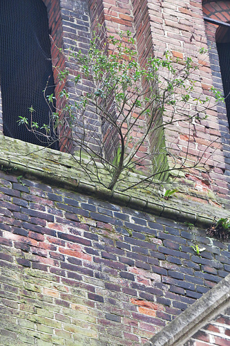 holy trinity church, dalston, london