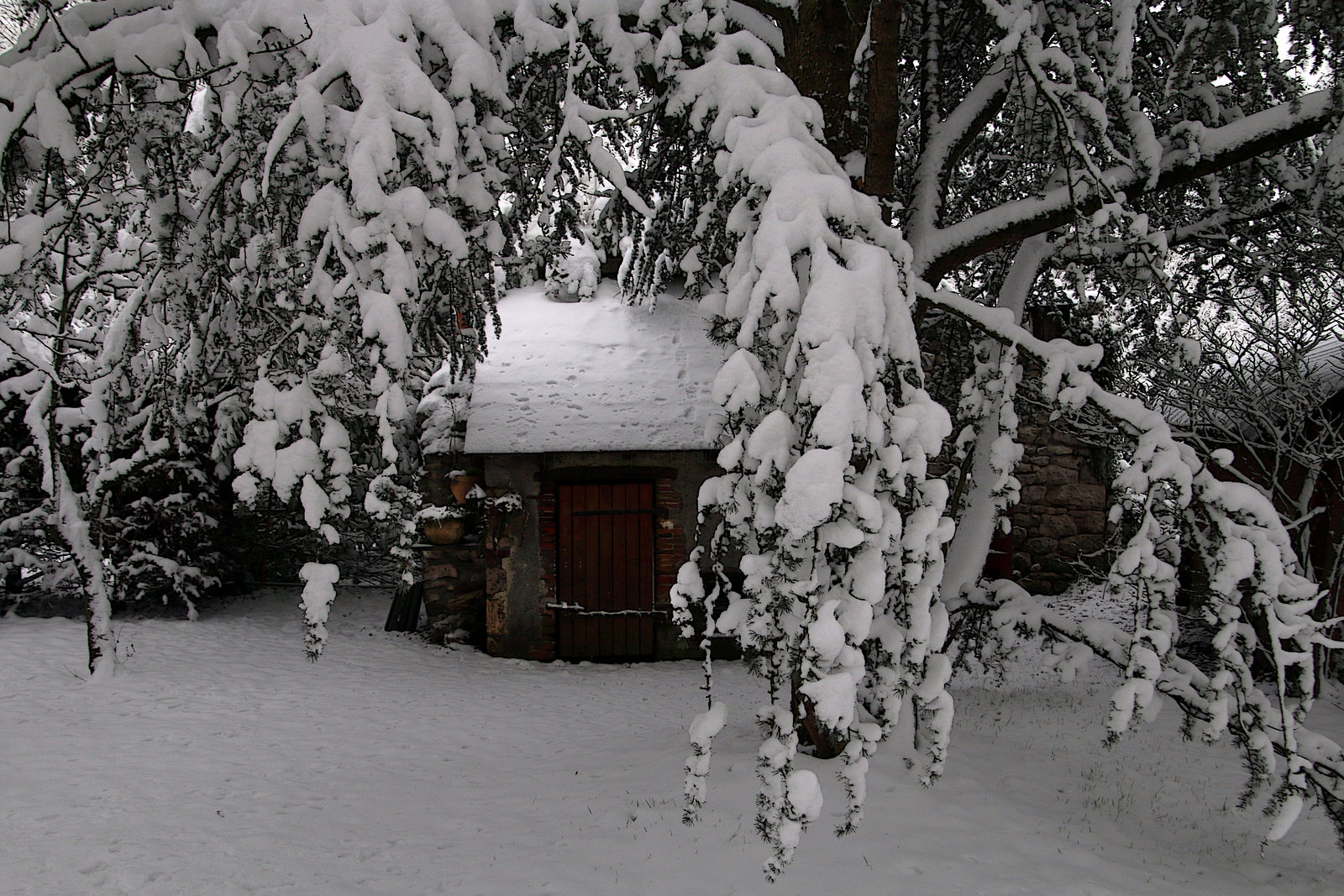 Tu ne vas pas me croire , de la neige en hiver !