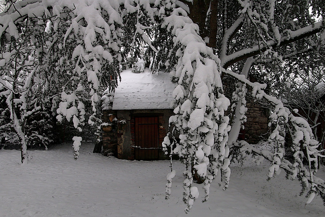 Tu ne vas pas me croire , de la neige en hiver !