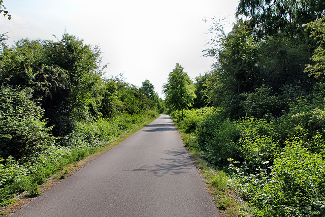 Radweg auf der ehemaligen Kray-Wanner-Bahn (Gelsenkirchen-Ückendorf) / 21.05.2018