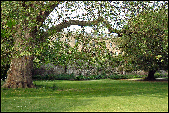 college lawn