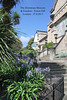 Steps and terraces at the Horniman Museum 27 8 2013