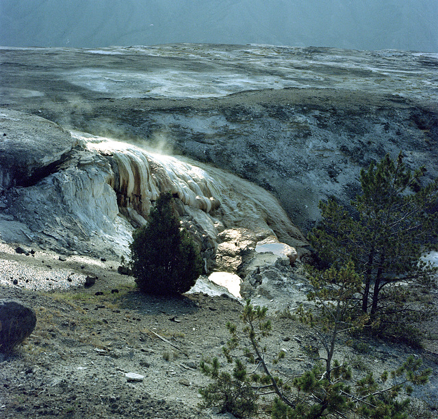 Mammoth Hot Springs, Yellowstone