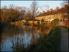 December light on the river path