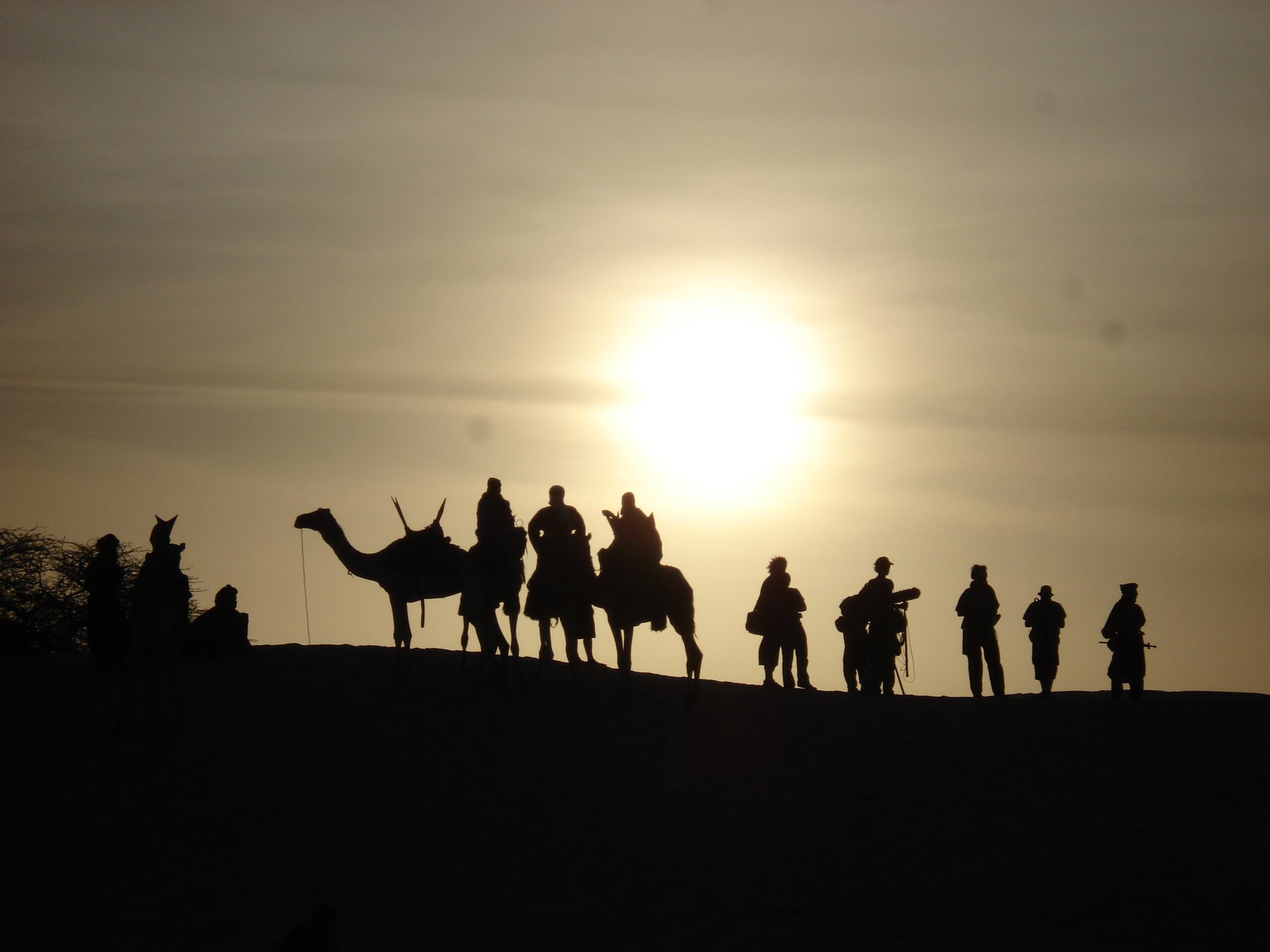 desert sun