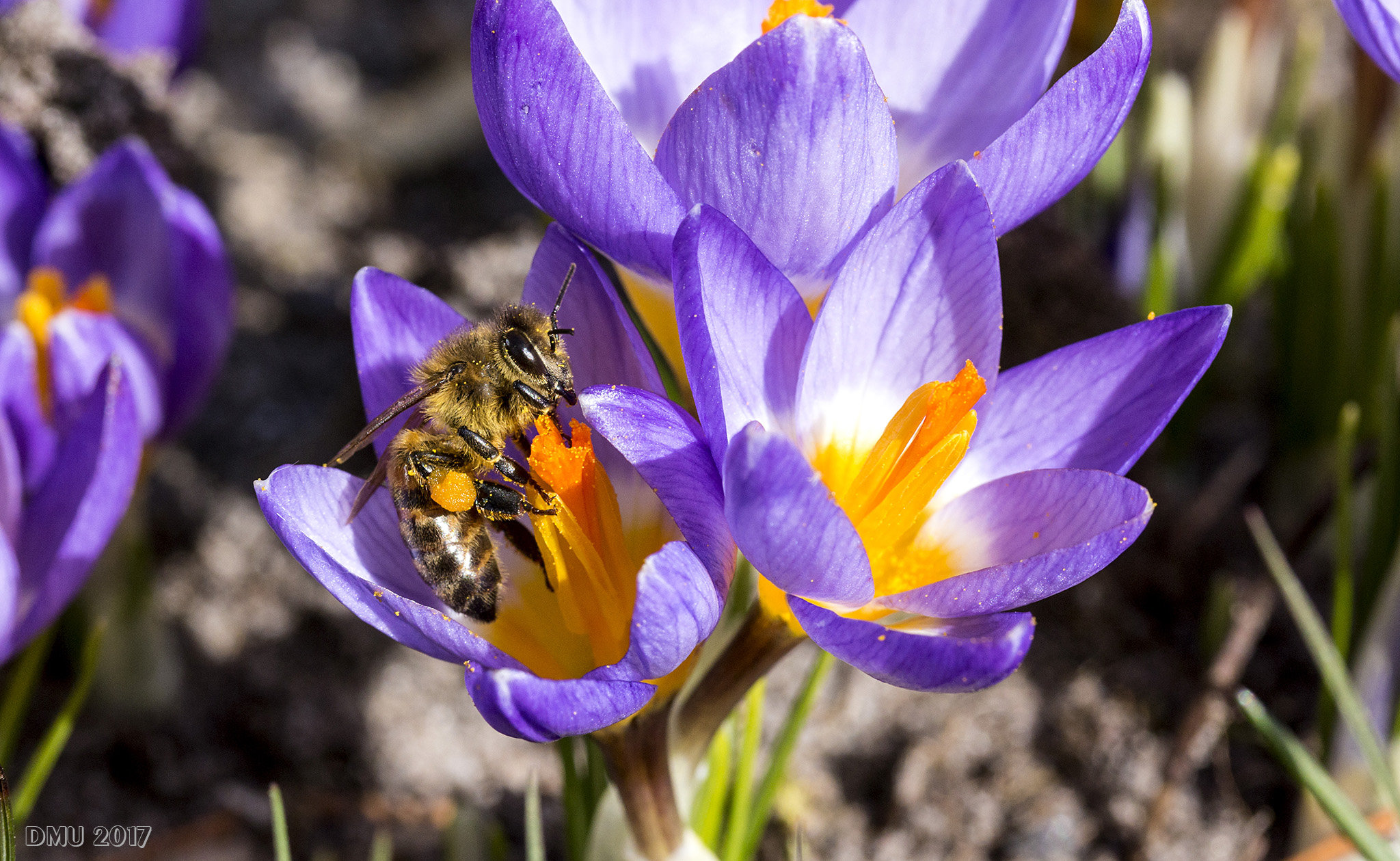 Frühling!