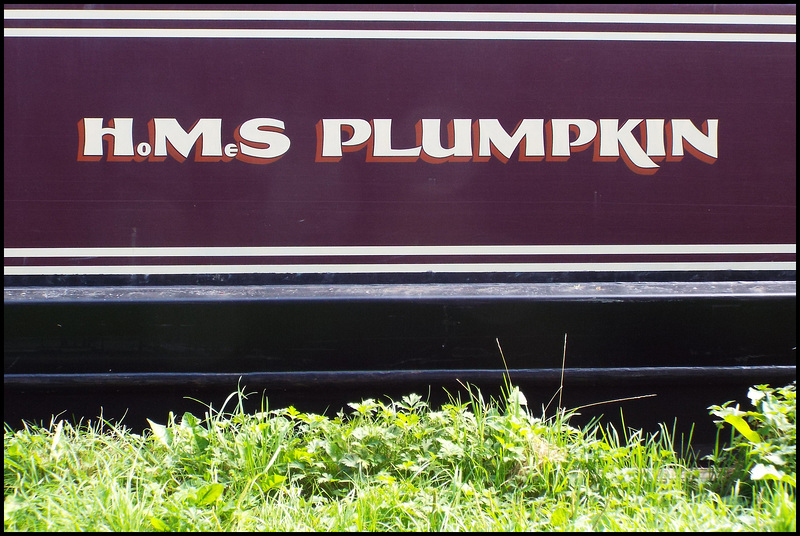 HoMeS Plumpkin