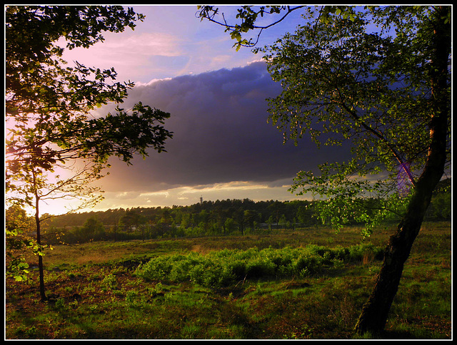 Magic Clouds