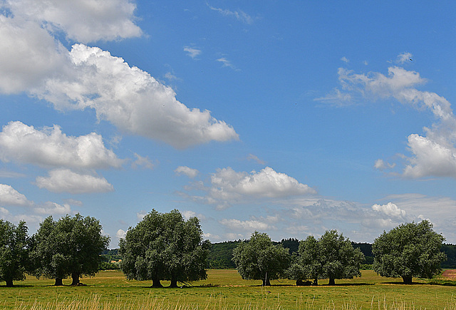 Sommer